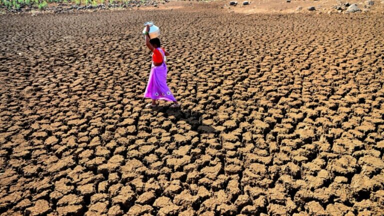 ONU: «El ser humano ha destruido el 40% de la tierra del planeta»