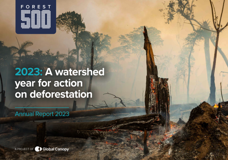 Informe: «El 40% de las empresas no ha establecido ni una sola política en materia de deforestación»