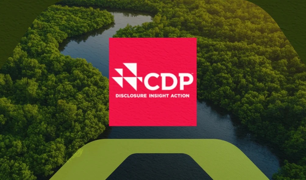 CDP